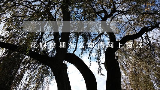 花呗逾期怎么申请网上贷款 花呗逾期怎么申请网上贷款
