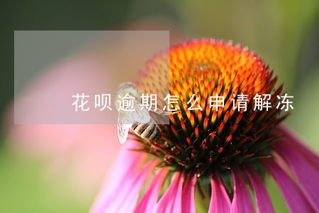 花呗逾期怎么申请解冻 花呗逾期怎么申请解冻