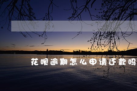 花呗逾期怎么申请还款吗 花呗逾期怎么申请还款吗