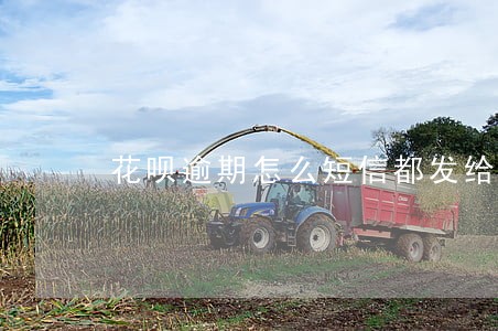 花呗逾期怎么短信都发给朋友了 花呗逾期怎么短信都发给朋友了