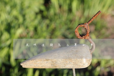 花呗逾期怎么算利率 花呗逾期怎么算利率