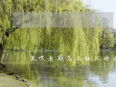 花呗逾期怎么给父母说的话 花呗逾期怎么给父母说的话