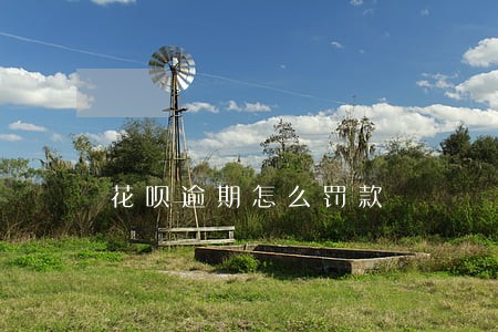 花呗逾期怎么罚款