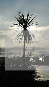 花呗逾期怎么联系家人朋友 花呗逾期怎么联系家人朋友