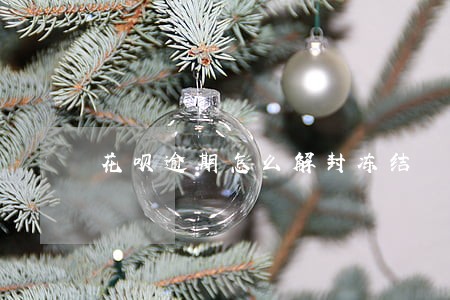 花呗逾期怎么解封冻结 花呗逾期怎么解封冻结