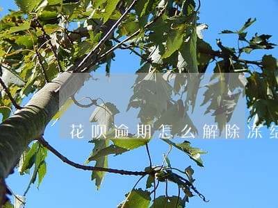 花呗逾期怎么解除冻结 花呗逾期怎么解除冻结