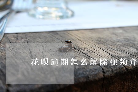 花呗逾期怎么解除视频介绍 花呗逾期怎么解除视频介绍