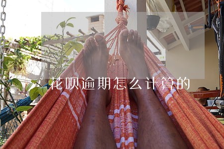 花呗逾期怎么计算的 花呗逾期怎么计算的