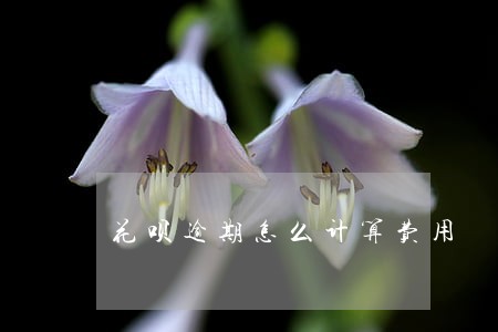 花呗逾期怎么计算费用 花呗逾期怎么计算费用