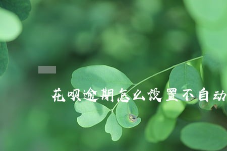 花呗逾期怎么设置不自动扣款 花呗逾期怎么设置不自动扣款