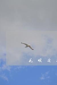 花呗逾期怎么说有两个账单 花呗逾期怎么说有两个账单