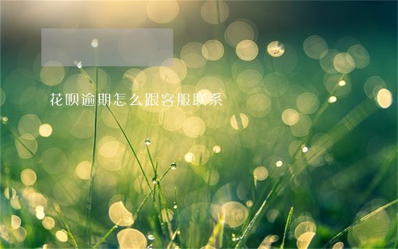 花呗逾期怎么跟客服联系 花呗逾期怎么跟客服联系