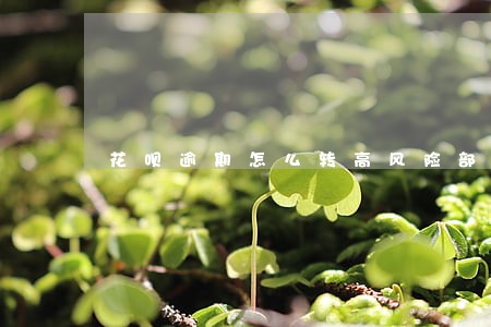 花呗逾期怎么转高风险部门协商 花呗逾期怎么转高风险部门协商