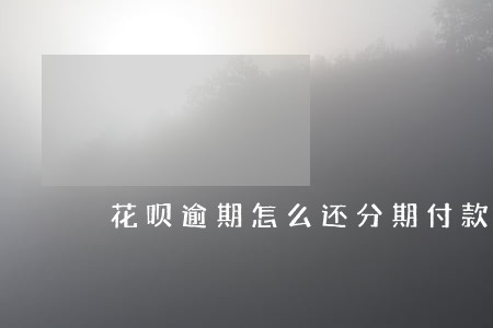 花呗逾期怎么还分期付款 花呗逾期怎么还分期付款