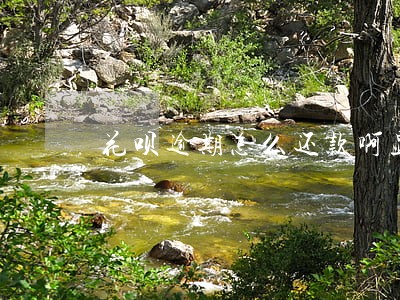 花呗逾期怎么还款啊显示无花呗 花呗逾期怎么还款啊显示无花呗