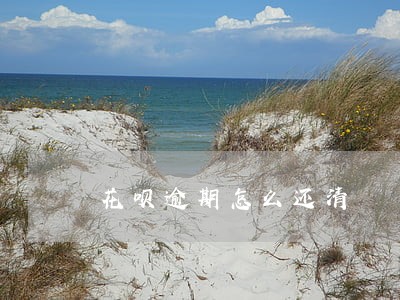 花呗逾期怎么还清