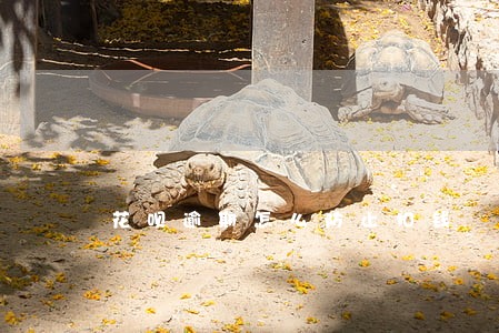 花呗逾期怎么防止扣钱 花呗逾期怎么防止扣钱