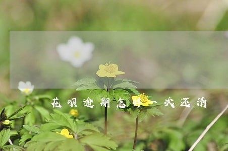 花呗逾期怎样一次还清