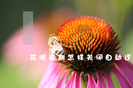 花呗逾期怎样关闭自动还款 花呗逾期怎样关闭自动还款
