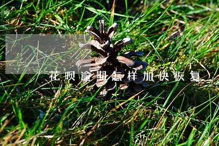 花呗逾期怎样加快恢复 花呗逾期怎样加快恢复