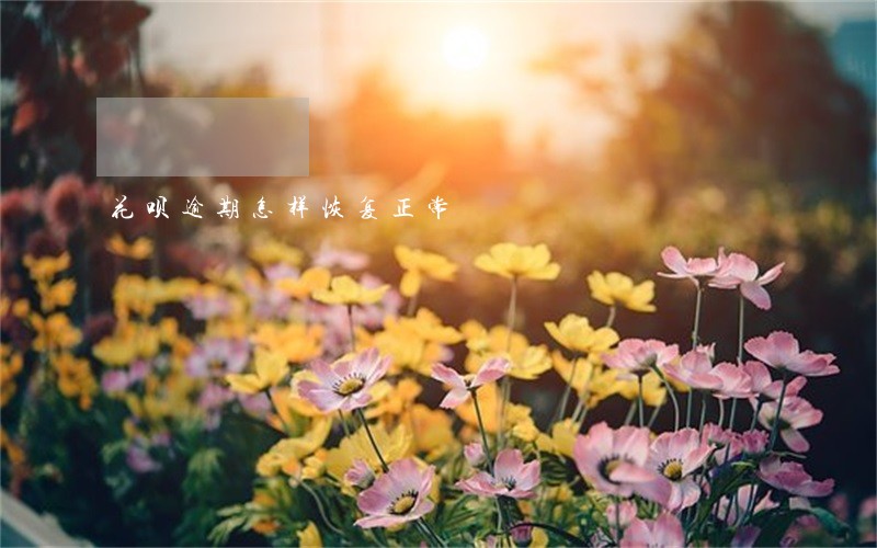 花呗逾期怎样恢复正常 花呗逾期怎样恢复正常