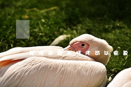 花呗逾期怎样才可以恢复使用 花呗逾期怎样才可以恢复使用