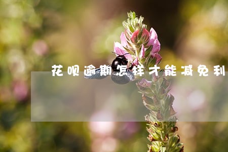 花呗逾期怎样才能减免利息还款