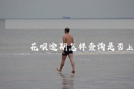 花呗逾期怎样查询是否上征信 花呗逾期怎样查询是否上征信