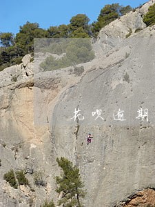 花呗逾期怎样算失信 花呗逾期怎样算失信