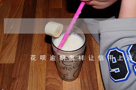 花呗逾期怎样让信用上涨 花呗逾期怎样让信用上涨
