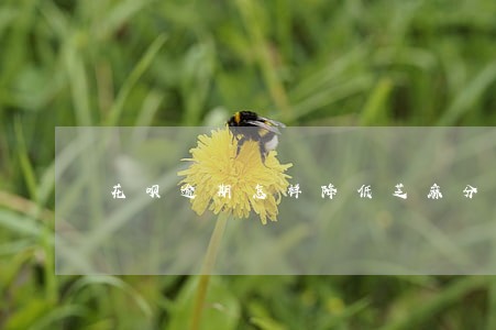 花呗逾期怎样降低芝麻分 花呗逾期怎样降低芝麻分