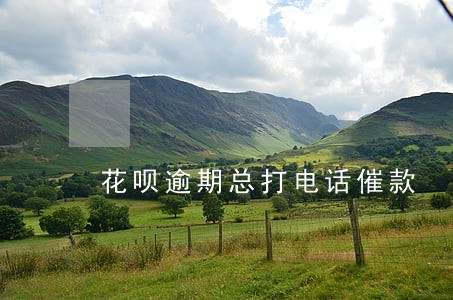 花呗逾期总打电话催款 花呗逾期总打电话催款