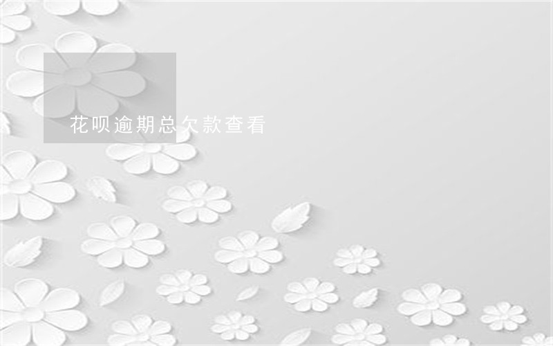 花呗逾期总欠款查看