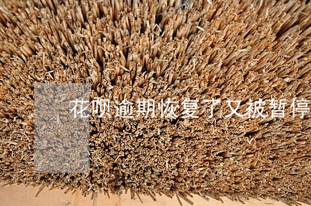 花呗逾期恢复了又被暂停了 花呗逾期恢复了又被暂停了