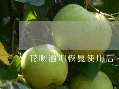 花呗逾期恢复使用后 花呗逾期恢复使用后