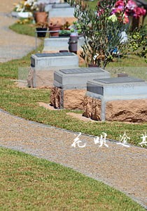 花呗逾期恢复要多久 花呗逾期恢复要多久