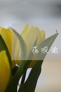 花呗逾期恢复额可用吗 花呗逾期恢复额可用吗