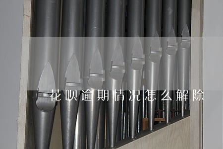 花呗逾期情况怎么解除 花呗逾期情况怎么解除