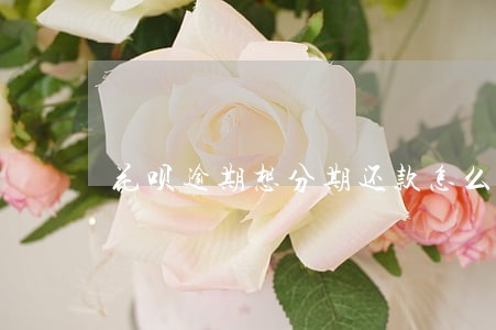 花呗逾期想分期还款怎么办 花呗逾期想分期还款怎么办
