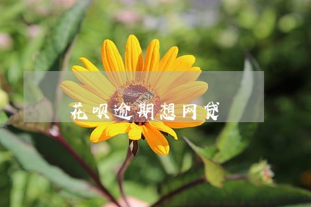 花呗逾期想网贷 花呗逾期想网贷