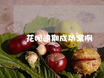 花呗逾期成功案例 花呗逾期成功案例