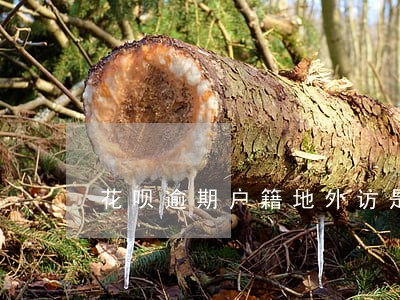 花呗逾期户籍地外访是真的吗 花呗逾期户籍地外访是真的吗