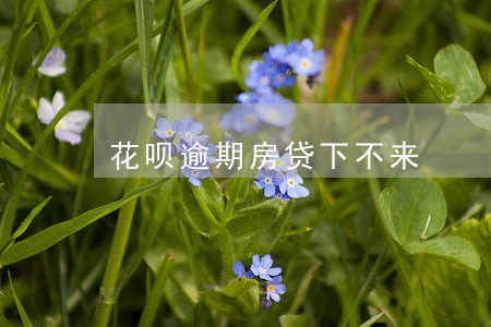 花呗逾期房贷下不来 花呗逾期房贷下不来