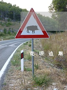 花呗逾期房贷没批 花呗逾期房贷没批