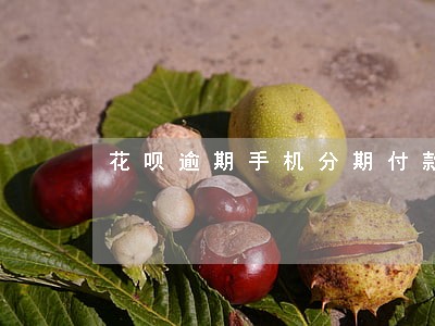 花呗逾期手机分期付款吗 花呗逾期手机分期付款吗
