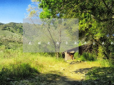 花呗逾期手机卡会关机吗 花呗逾期手机卡会关机吗