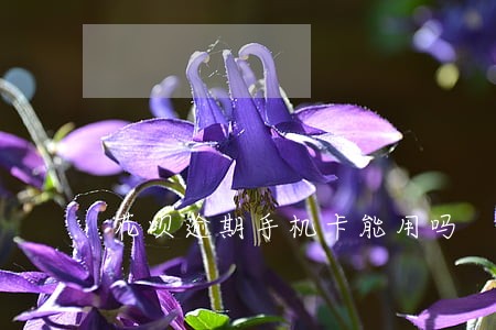 花呗逾期手机卡能用吗 花呗逾期手机卡能用吗