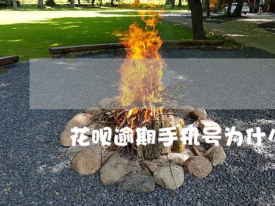 花呗逾期手机号为什么不能用 花呗逾期手机号为什么不能用