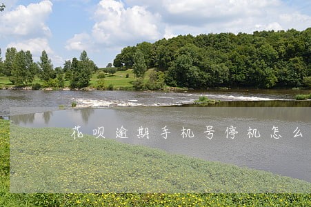 花呗逾期手机号停机怎么办 花呗逾期手机号停机怎么办