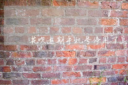 花呗逾期手机号停用了怎么还款 花呗逾期手机号停用了怎么还款